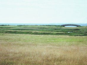 Jükersmersk, Wiese am Wattenmeer